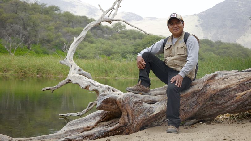 Carlos redt de bomen in Peru