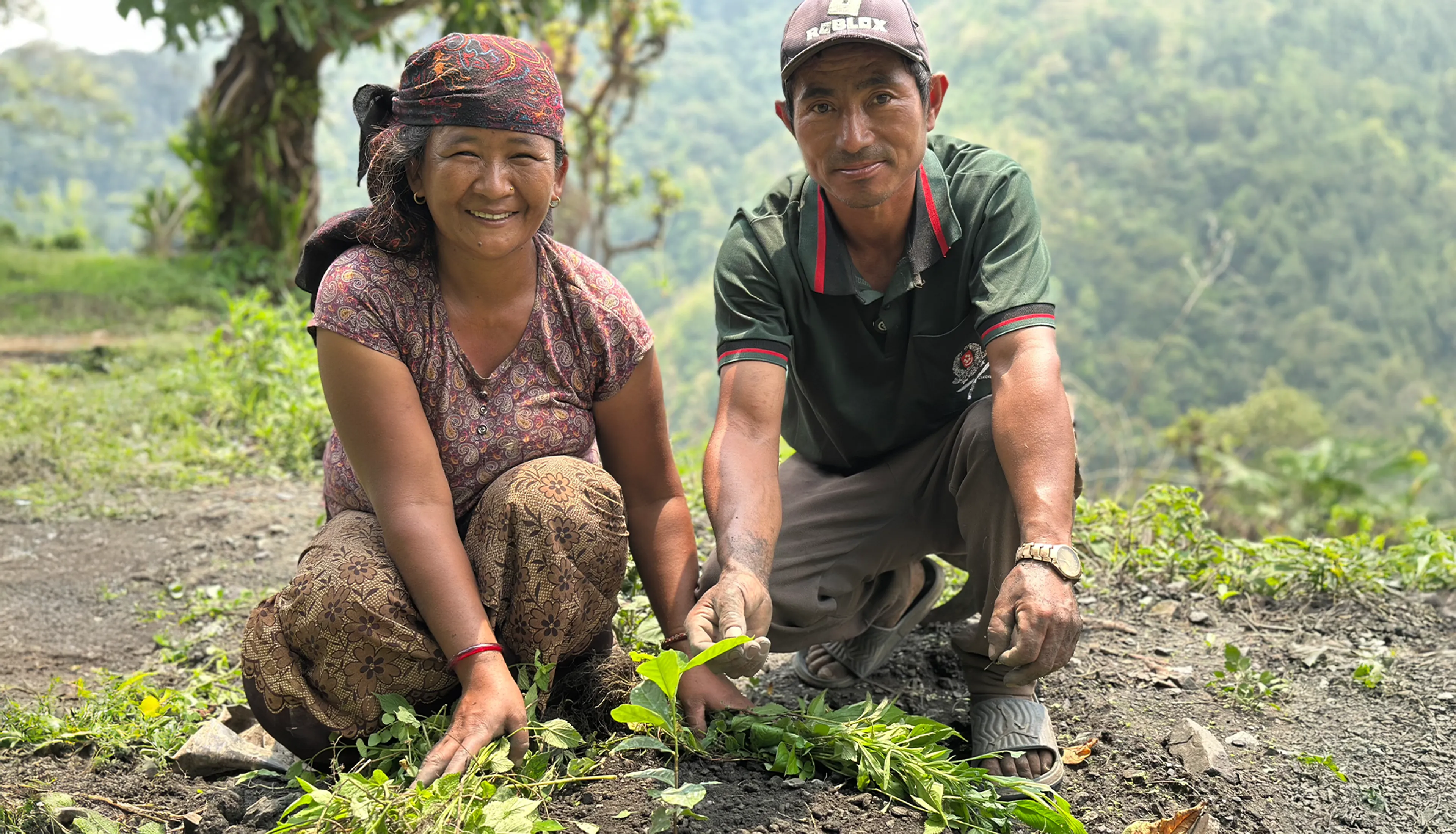 Werk en inkomen in de bergdorpjes van Nepal
