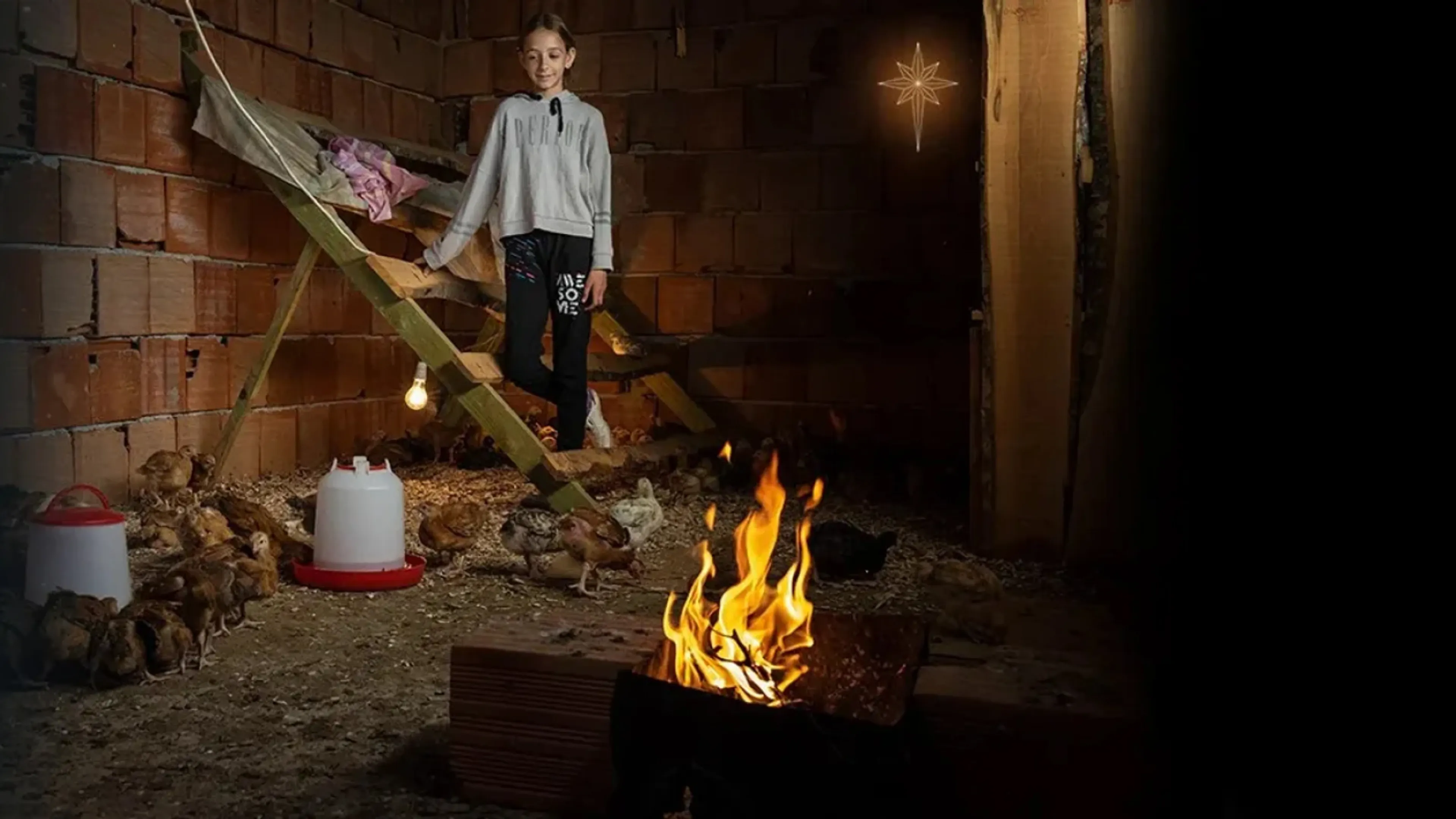 Haal Albanië uit de schaduw. Geef voor voedsel, coaching en gevangenenzorg.