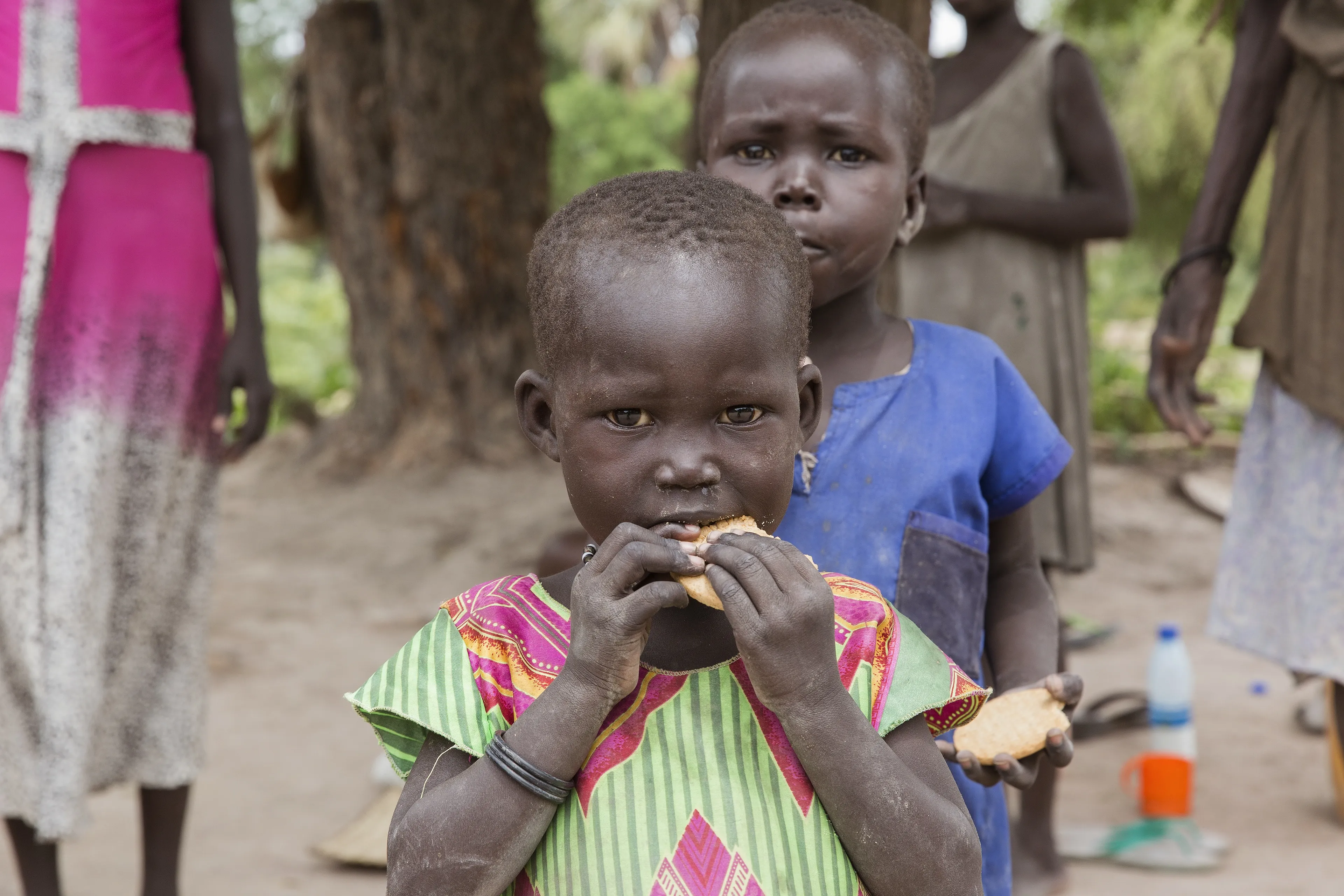 Hoe vieren mensen wereldwijd kerst?