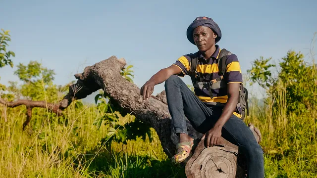 Uitgelichte afbeelding