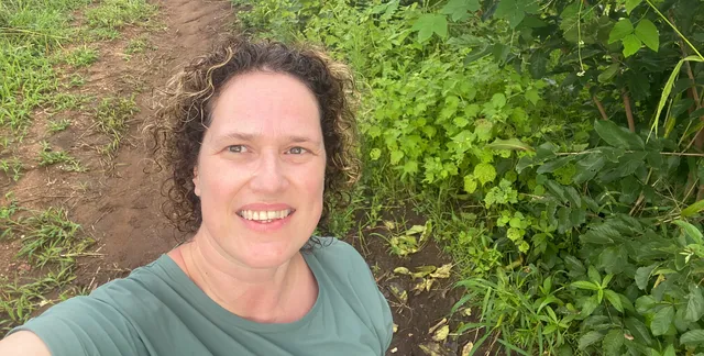 Uitgelichte afbeelding