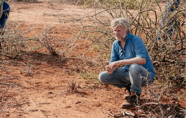 Uitgelichte afbeelding