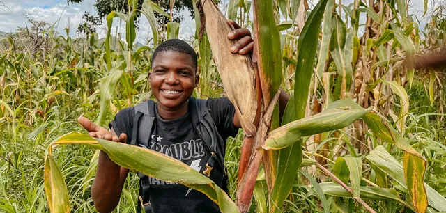 Uitgelichte afbeelding