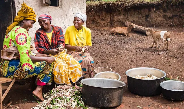 Uitgelichte afbeelding