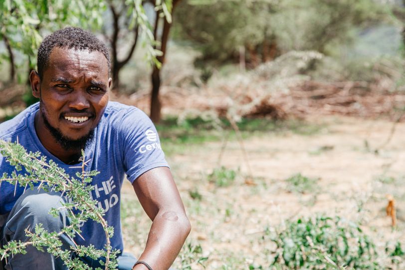 Jong bos in Kenia door nieuwe snoeimethode